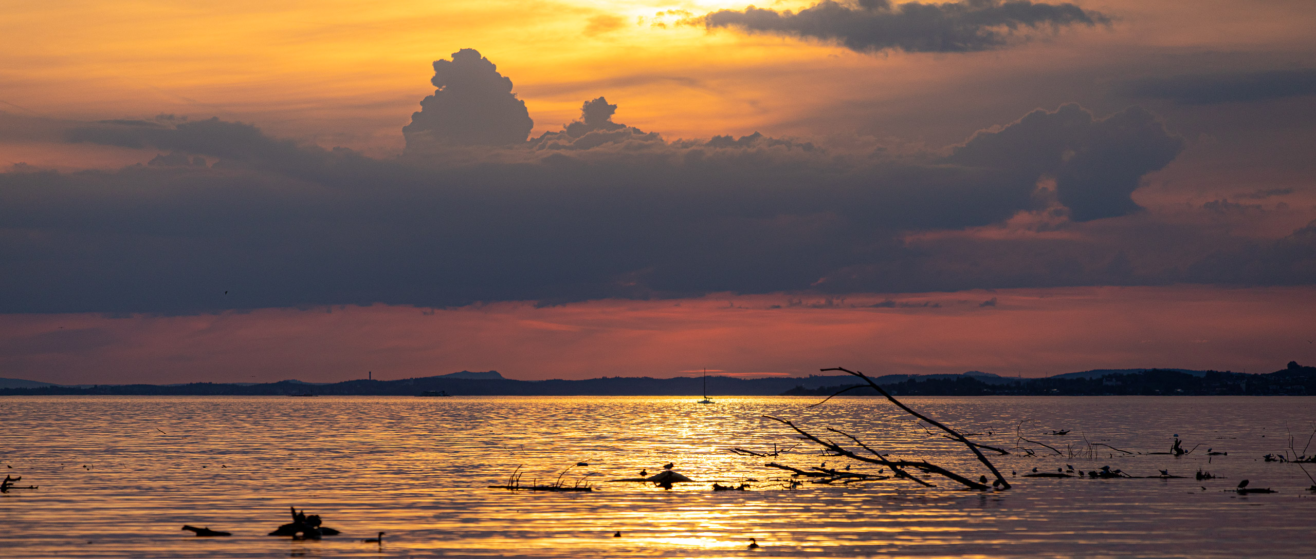 20230506201248 RD4 3897